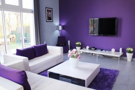 purple-living-room-9
