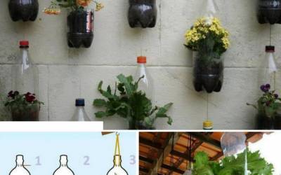 Plastik şişelerde bitki yetiştirmek