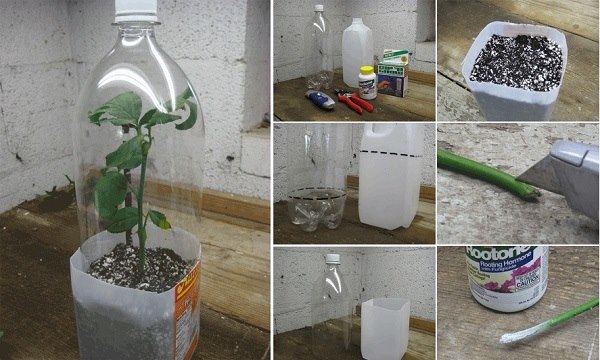 Plastik ürünler içersinde bitki yetiştirme