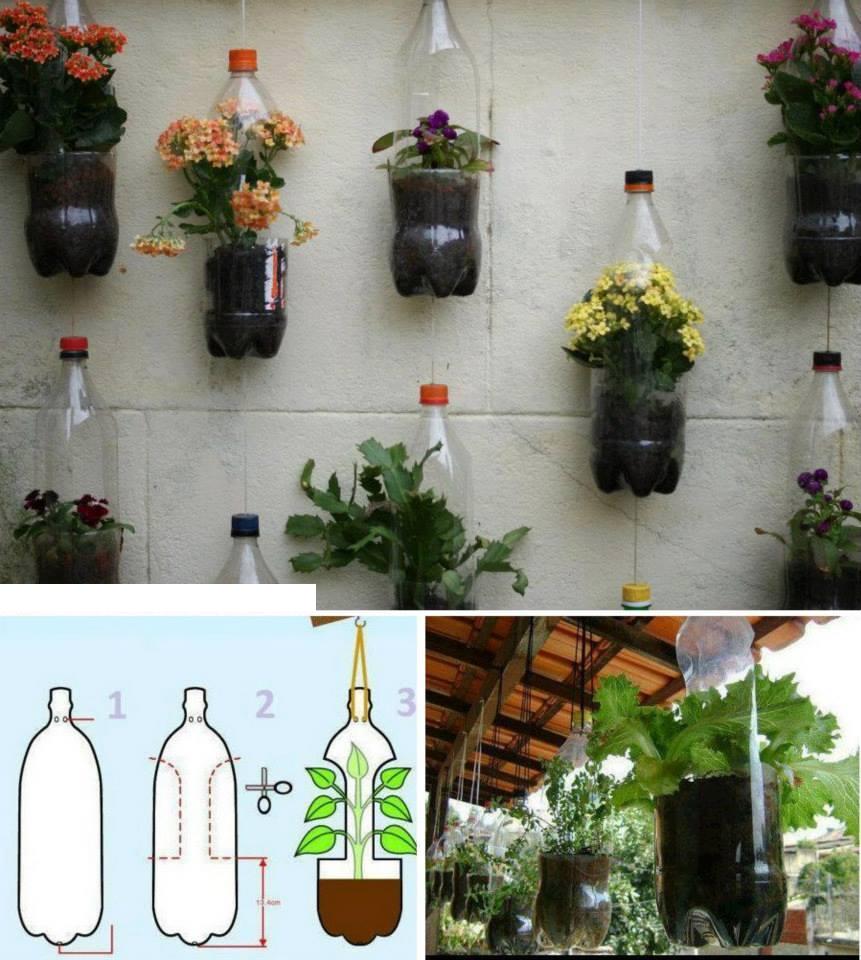 Plastik şişelerde bitki yetiştirmek
