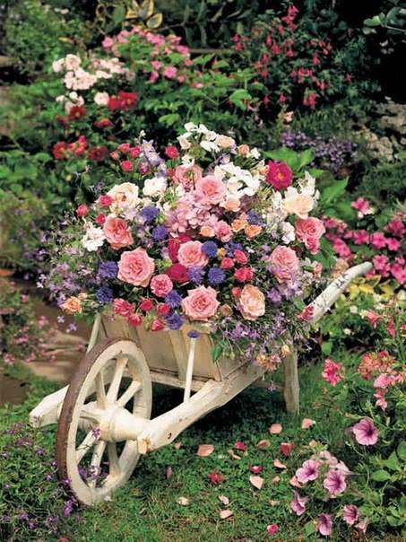 Bahçeleriniz için el arabalı çiçeklik